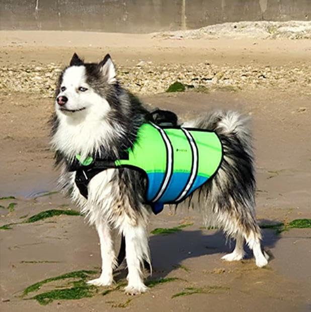 hana-outdoors-gilet-de-sauvetage-chien-m-poign-e-r-fl-chissant image 4