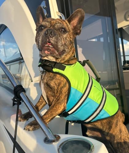 hana-outdoors-gilet-de-sauvetage-chien-m-poign-e-r-fl-chissant image 5