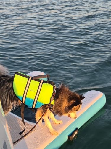 hana-outdoors-gilet-de-sauvetage-chien-m-poign-e-r-fl-chissant image 7